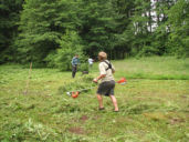 img_0038.jpg
