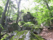img_0055.jpg