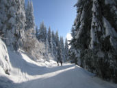 img_0007.jpg